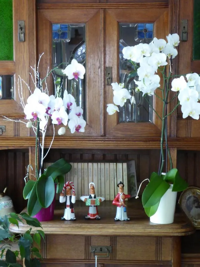 Guest house Cr Luarri Hotel San Sebastian